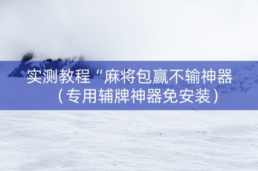实测教程“麻将包赢不输神器（专用辅牌神器免安装）