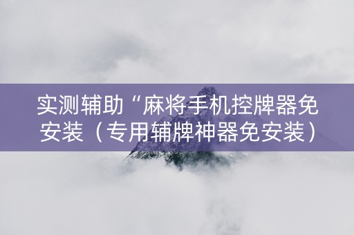 实测辅助“麻将手机控牌器免安装（专用辅牌神器免安装）