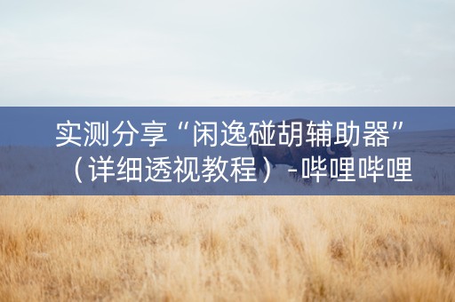 实测分享“闲逸碰胡辅助器”（详细透视教程）-哔哩哔哩
