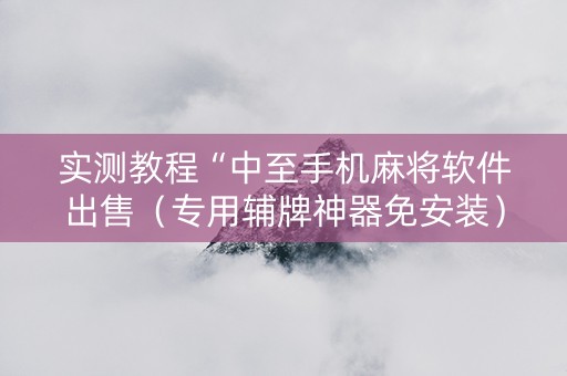 实测教程“中至手机麻将软件出售（专用辅牌神器免安装）