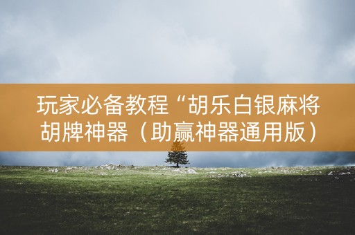 玩家必备教程“胡乐白银麻将胡牌神器（助赢神器通用版）
