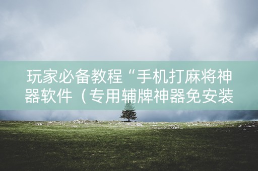 玩家必备教程“手机打麻将神器软件（专用辅牌神器免安装）