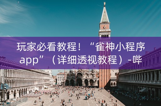 玩家必看教程！“雀神小程序app”（详细透视教程）-哔哩哔哩
