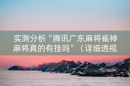 实测分析“腾讯广东麻将雀神麻将真的有挂吗”（详细透视教程）-哔哩哔哩