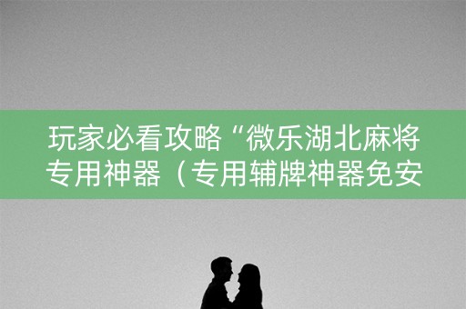 玩家必看攻略“微乐湖北麻将专用神器（专用辅牌神器免安装）