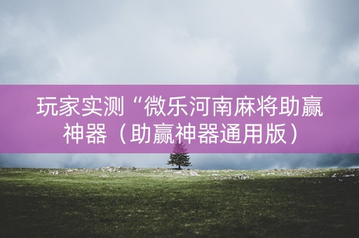 玩家实测“微乐河南麻将助赢神器（助赢神器通用版）