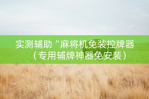 实测辅助“麻将机免装控牌器（专用辅牌神器免安装）