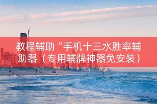 教程辅助“手机十三水胜率辅助器（专用辅牌神器免安装）