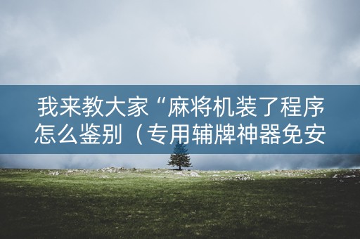 我来教大家“麻将机装了程序怎么鉴别（专用辅牌神器免安装）