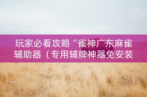 玩家必看攻略“雀神广东麻雀辅助器（专用辅牌神器免安装）