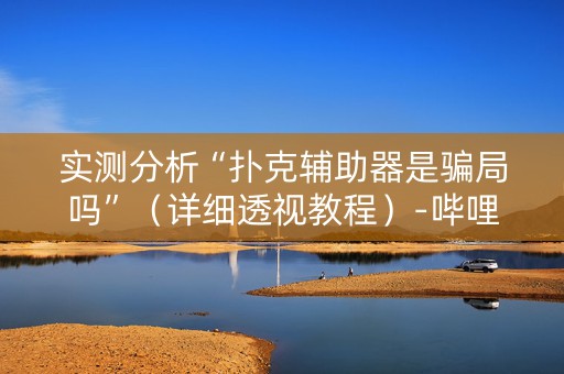 实测分析“扑克辅助器是骗局吗”（详细透视教程）-哔哩哔哩