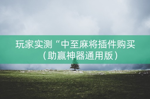 玩家实测“中至麻将插件购买（助赢神器通用版）