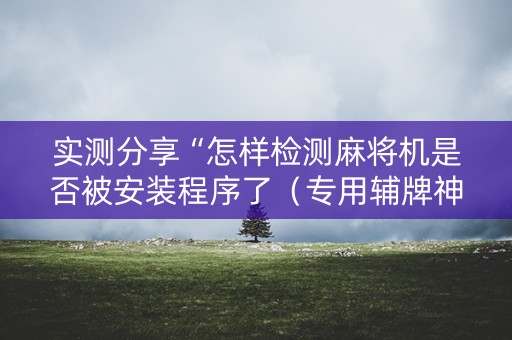 实测分享“怎样检测麻将机是否被安装程序了（专用辅牌神器免安装）