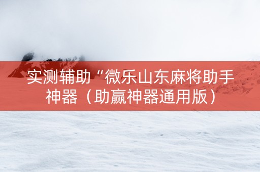 实测辅助“微乐山东麻将助手神器（助赢神器通用版）