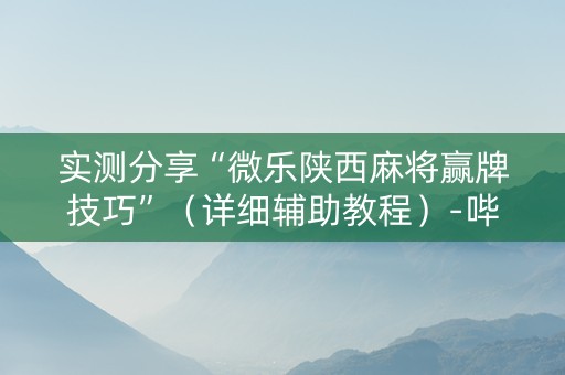 实测分享“微乐陕西麻将赢牌技巧”（详细辅助教程）-哔哩哔哩