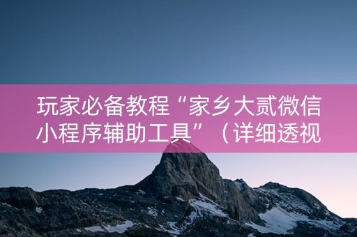 玩家必备教程“家乡大贰微信小程序辅助工具”（详细透视教程）-哔哩哔哩