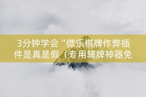 3分钟学会“微乐棋牌作弊插件是真是假（专用辅牌神器免安装）