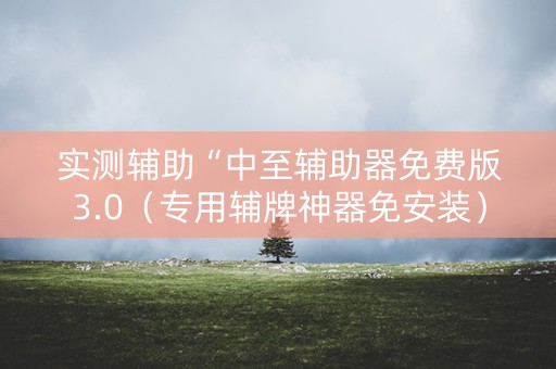 实测辅助“中至辅助器免费版3.0（专用辅牌神器免安装）