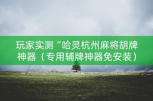 玩家实测“哈灵杭州麻将胡牌神器（专用辅牌神器免安装）