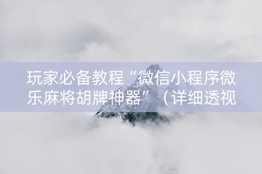 玩家必备教程“微信小程序微乐麻将胡牌神器”（详细透视教程）-哔哩哔哩