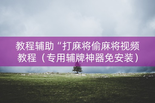 教程辅助“打麻将偷麻将视频教程（专用辅牌神器免安装）