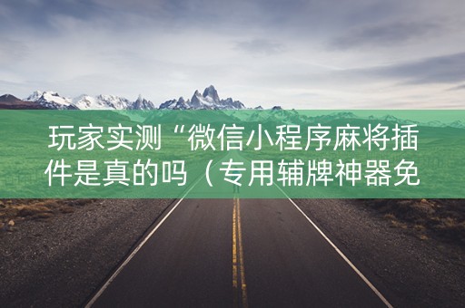玩家实测“微信小程序麻将插件是真的吗（专用辅牌神器免安装）