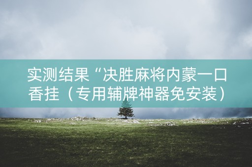 实测结果“决胜麻将内蒙一口香挂（专用辅牌神器免安装）
