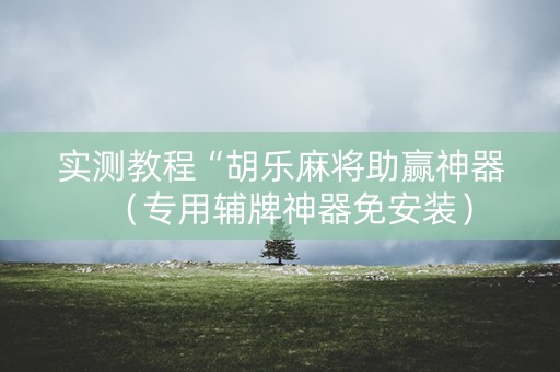 实测教程“胡乐麻将助赢神器（专用辅牌神器免安装）