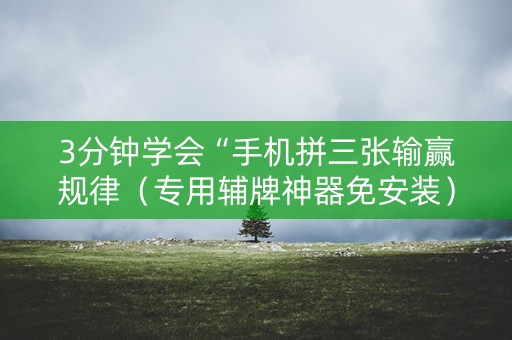 3分钟学会“手机拼三张输赢规律（专用辅牌神器免安装）