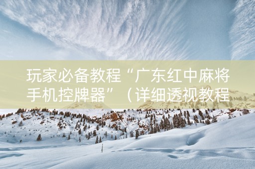 玩家必备教程“广东红中麻将手机控牌器”（详细透视教程）-哔哩哔哩