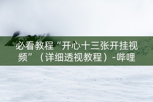 必看教程“开心十三张开挂视频”（详细透视教程）-哔哩哔哩