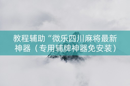 教程辅助“微乐四川麻将最新神器（专用辅牌神器免安装）