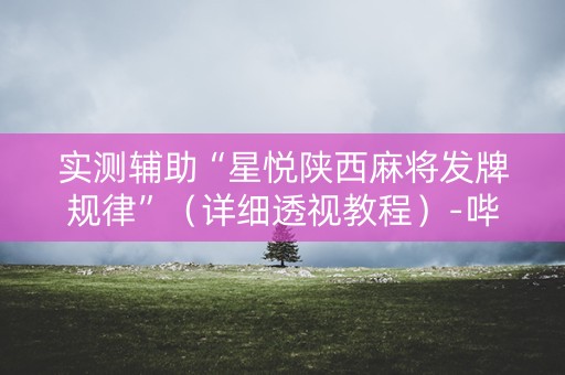 实测辅助“星悦陕西麻将发牌规律”（详细透视教程）-哔哩哔哩