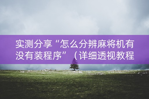 实测分享“怎么分辨麻将机有没有装程序”（详细透视教程）-哔哩哔哩