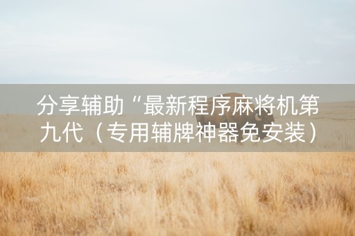 分享辅助“最新程序麻将机第九代（专用辅牌神器免安装）