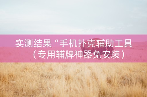 实测结果“手机扑克辅助工具（专用辅牌神器免安装）