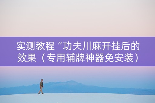 实测教程“功夫川麻开挂后的效果（专用辅牌神器免安装）