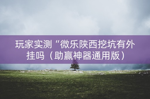 玩家实测“微乐陕西挖坑有外挂吗（助赢神器通用版）