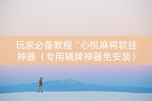 玩家必备教程“心悦麻将软挂神器（专用辅牌神器免安装）