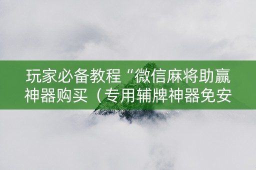 玩家必备教程“微信麻将助赢神器购买（专用辅牌神器免安装）