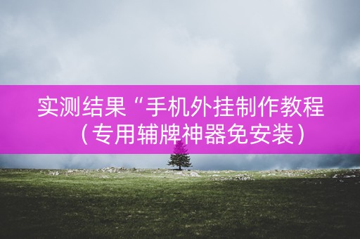 实测结果“手机外挂制作教程（专用辅牌神器免安装）