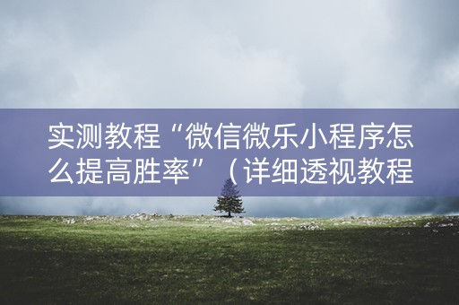 实测教程“微信微乐小程序怎么提高胜率”（详细透视教程）-哔哩哔哩