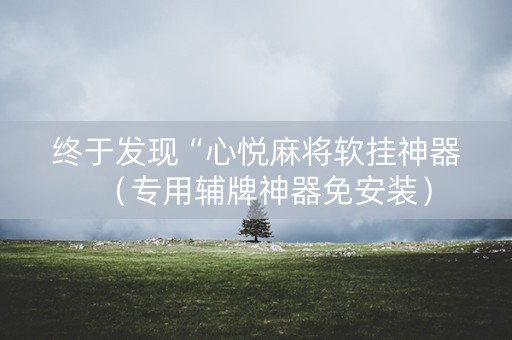 终于发现“心悦麻将软挂神器（专用辅牌神器免安装）