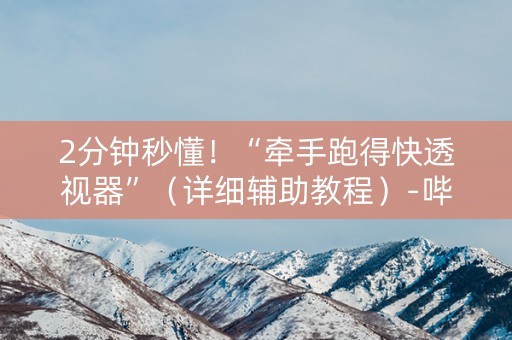 2分钟秒懂！“牵手跑得快透视器”（详细辅助教程）-哔哩哔哩