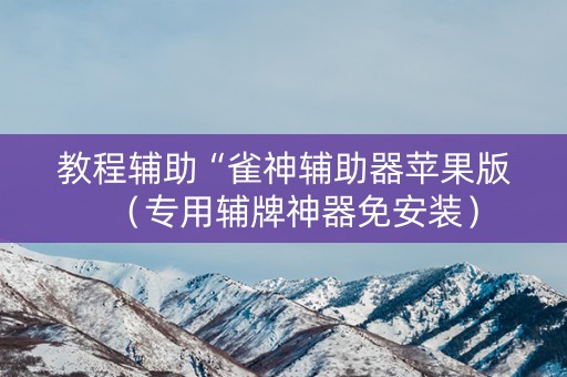 教程辅助“雀神辅助器苹果版（专用辅牌神器免安装）