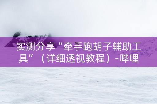 实测分享“牵手跑胡子辅助工具”（详细透视教程）-哔哩哔哩