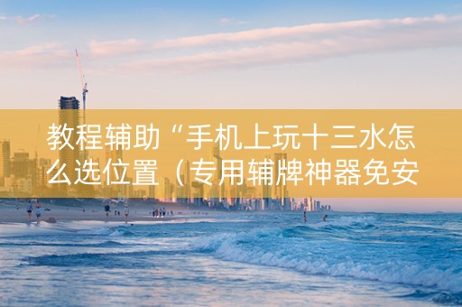 教程辅助“手机上玩十三水怎么选位置（专用辅牌神器免安装）
