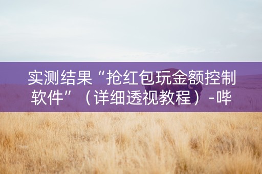 实测结果“抢红包玩金额控制软件”（详细透视教程）-哔哩哔哩