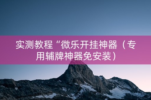 实测教程“微乐开挂神器（专用辅牌神器免安装）