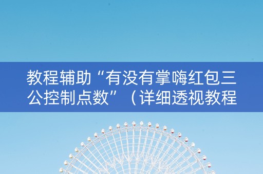 教程辅助“有没有掌嗨红包三公控制点数”（详细透视教程）-哔哩哔哩